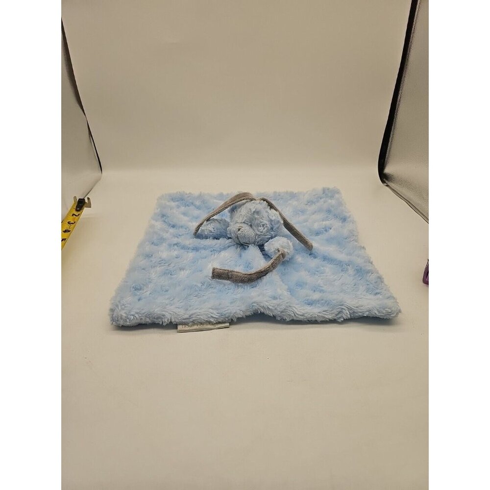 Blankets And Beyond Blue Rosette Swirl Teddy Bear Security Blanketโ Lovey Baby